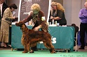 Crufts2011 828